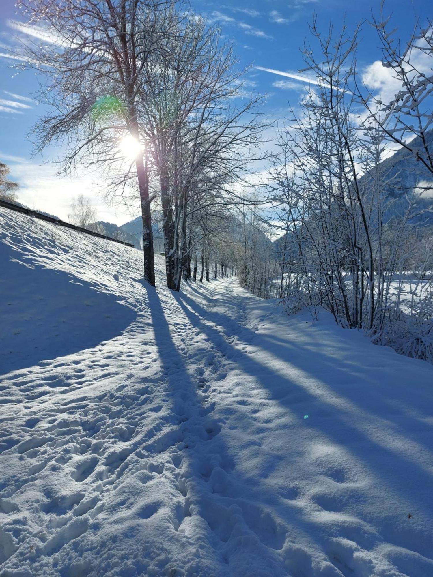 Alpapart Hornberg Höfen Esterno foto