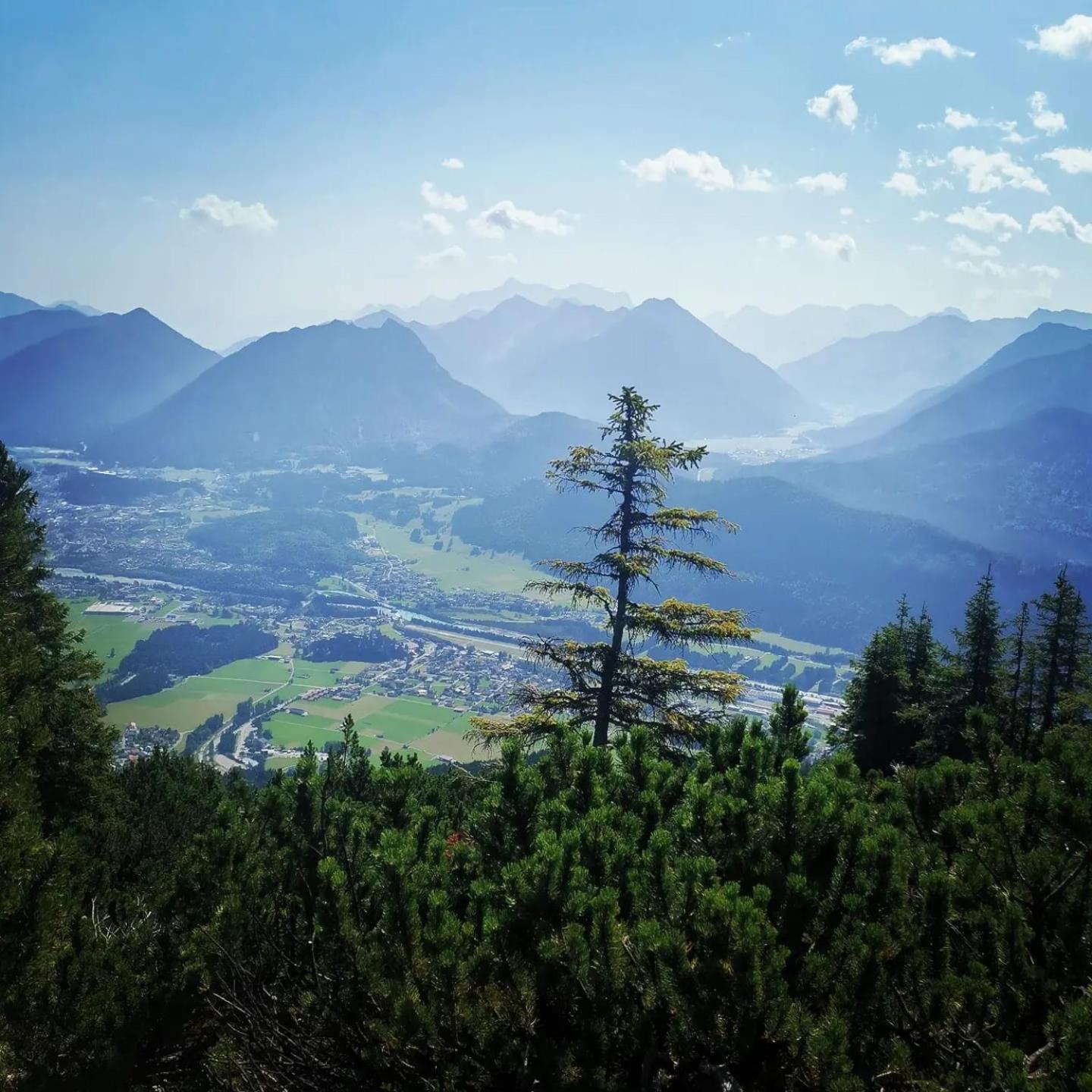 Alpapart Hornberg Höfen Esterno foto