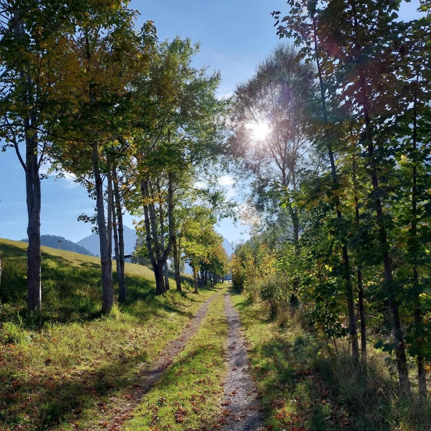 Alpapart Hornberg Höfen Esterno foto