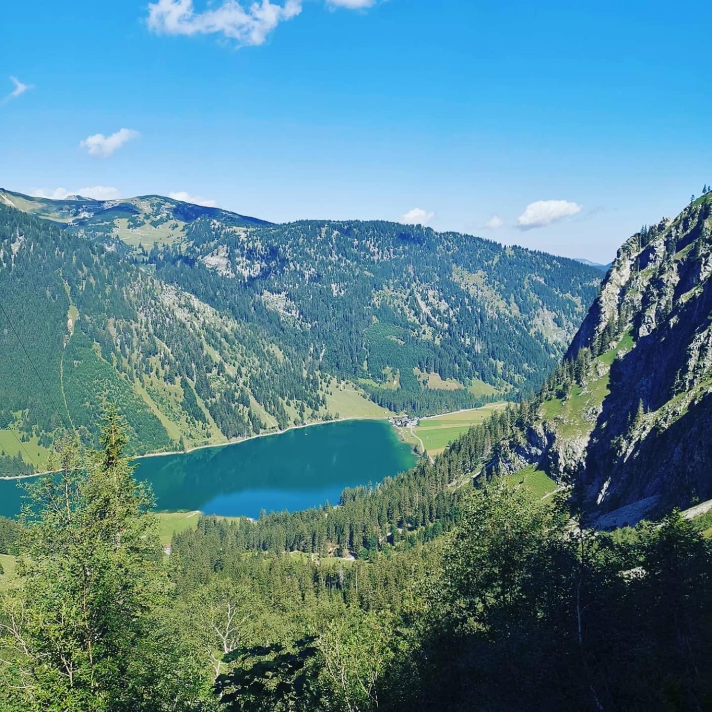 Alpapart Hornberg Höfen Esterno foto